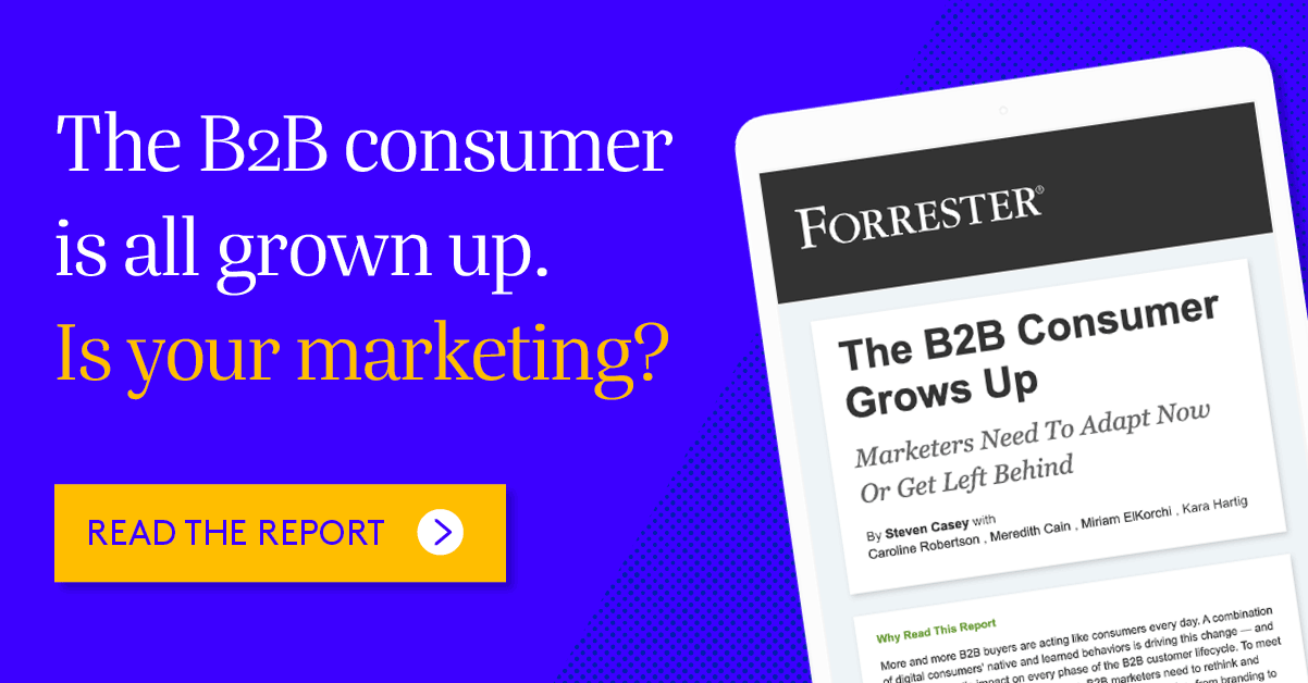 Forrester Report: The B2B Consumer Grows Up